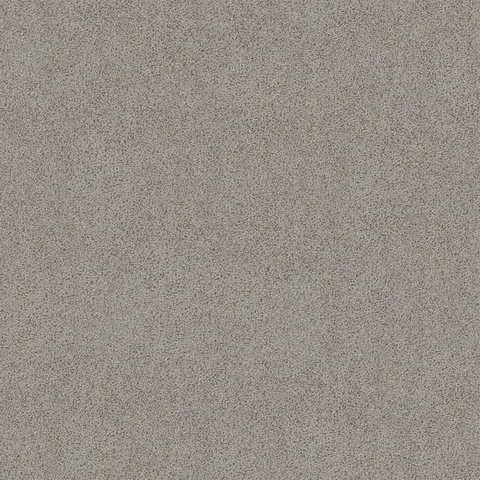 Earth Grey carpet swatch